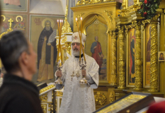 DSC1003