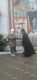 IMG_1621_copy_235x510