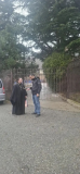IMG_1623_copy_235x510