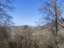 IMG_20260315_080133_764