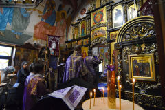 DSC0403-1