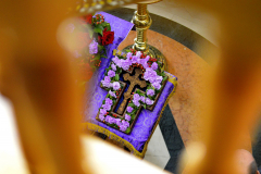 DSC026-2