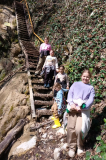 IMG_20250324_120436_4682_copy_589x890