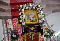 DSC019-2