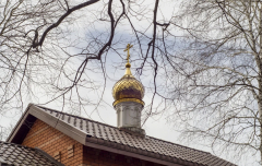 IMG_20250401_062942