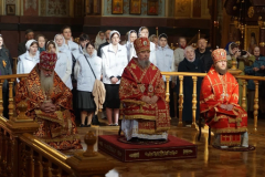 IMG_3292_copy_512x341