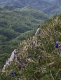 IMG_20260516_075342