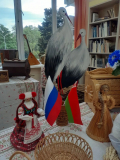 IMG_20260525_165016_631
