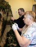 IMG_20260602_094705