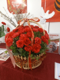 IMG_20250509_092541