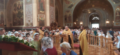 image-17-07-25-03-10-5
