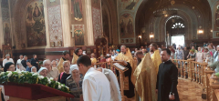 image-17-07-25-03-10-7