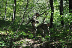 IMG_20261009_083552_copy_768x510