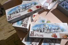 TIX_4033