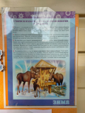 IMG-20250210-WA0010