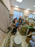 IMG-20250826-WA0001