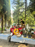 IMG-20251116-WA0029
